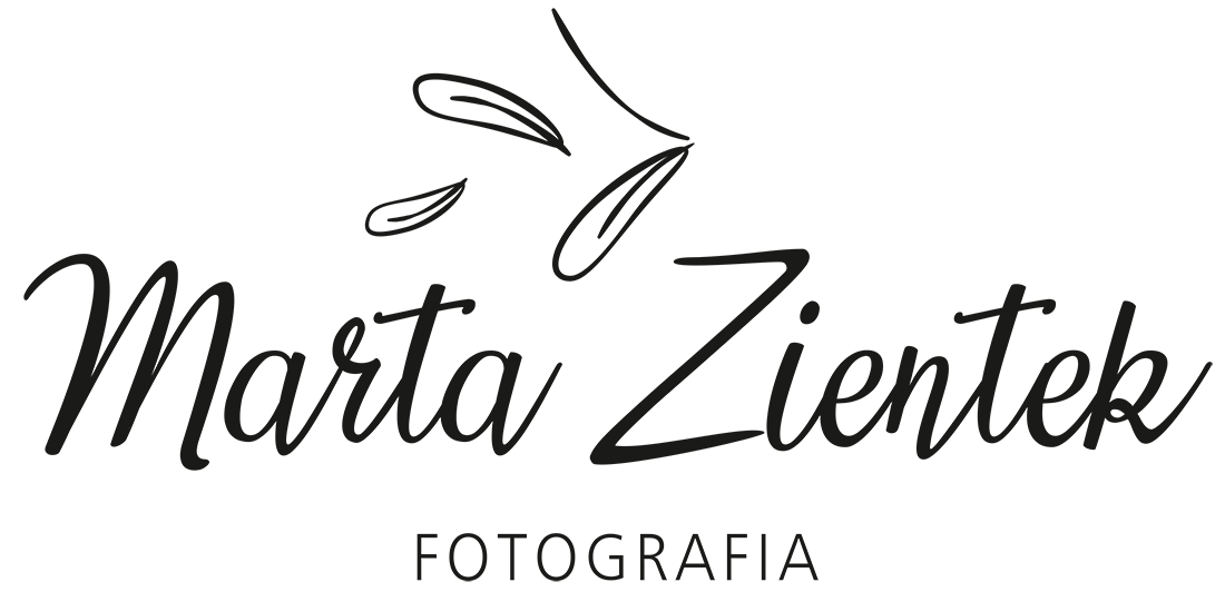 Logo MMZientek.pl